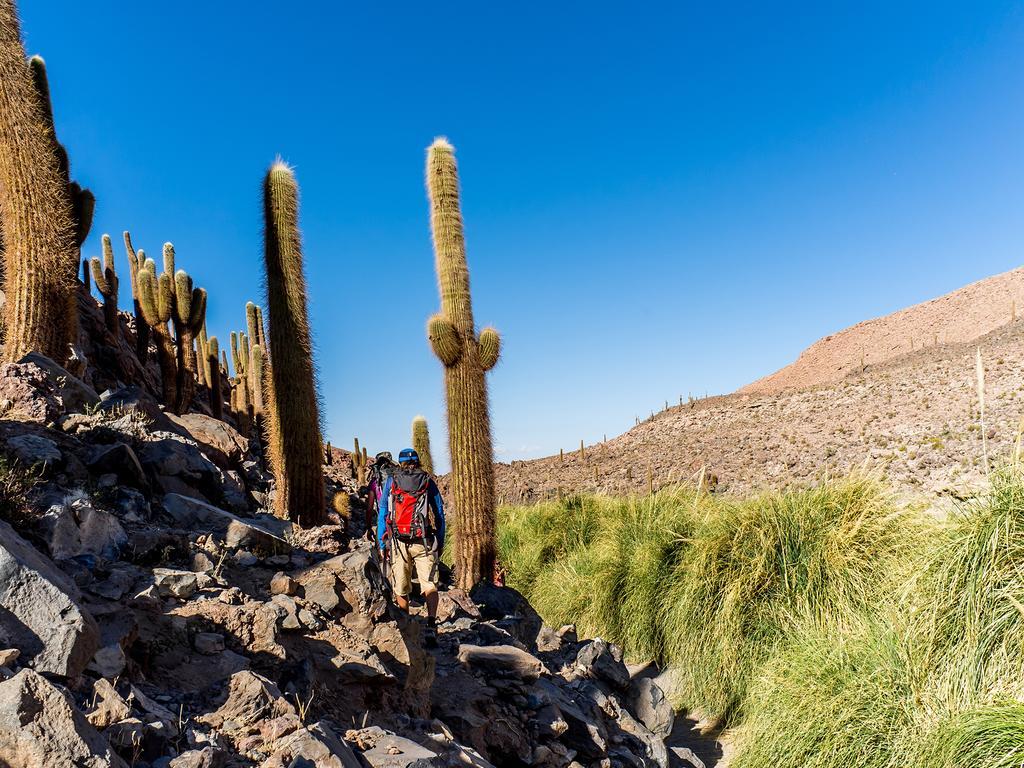 Noi Casa Atacama Hotel Сан Педро де Атакама Екстериор снимка